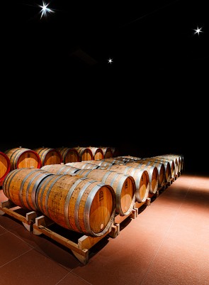 La nuova cantina di Tresivio
