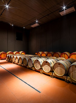La nuova cantina di Tresivio